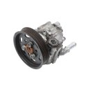 Servopumpe 8N0145154A Audi TT 1.8T A3 S3 8L TT VW Beetle Flügelpumpe AMK BAM AUL