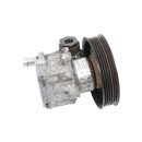 Servopumpe 8N0145154A Audi TT 1.8T A3 S3 8L TT VW Beetle Flügelpumpe AMK BAM AUL