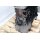 Motor CGL-CGLC Audi A4 B8 A5 A6 4G 2,0 TDI 130kW-177PS mit Injektoren 189TKM