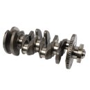 Kurbelwelle 06H105021M  2,0 TSI VW Skoda Seat Audi CCZB,CCTA,CBFA Motor