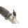 Eisenmann Endschalldämpfer 2x102mm ø rund Audi TT 8N 1,8T (110kW-132 kW), 2WD Edelstahl