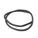 Türdichtung Innen hinten links 3C9867913B VW Passat...