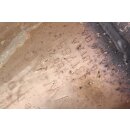 Dieselpartikelfilter DPF 3C0131765H VW Passat 3C B7 2,0 TDI Touran 1T CFG Motor