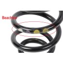Feder hinten 3C0511115AD VW Passat B7 Variant 2,0 TDI 1 Stück Hinterachse