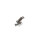 Tankdeckel Audi TT 8J Ausschnitt und Tankdeckel mit Stellelement 8J0809900G