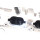 BHZ Zylinderkopf 195Tkm VW Golf GTI ED 30 Audi S3 8P Seat Leon Cupra 1P 2.0 TSI