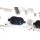 BHZ Zylinderkopf 195Tkm VW Golf GTI ED 30 Audi S38P Seat Leon Cupra 1P 2.0 TSI