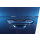 Tür vorne links VW Passat 3C B6 Fahrertür Fahrerseite Variant Limousine LC5C blue