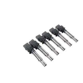 Zündspulen 6 Stück 022905715A Audi TT 8J A3 8P 3.2 -3,6 V6 VW Golf 5 R32 Passat R36  BWS-BUB Motor