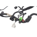 Motorkabelbaum 06F972619AQ VW Eos 1F Jetta III 2,0 TSI...