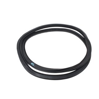 Türgummi hinten links 4 Türer 6R6867911D VW Polo 6R Fahrerseite Türdichtung