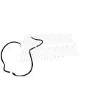 Sitzheizung Matte Sitzlehne hinten Sitz 6R0963557D VW Polo 6R links-rechts 1 Stück