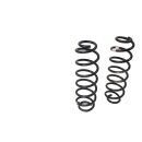 Federn hinten 5Q0511115JR Original 2 Stück...