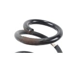 Federn hinten 5Q0511115JR Original 2 Stück Hinterachse Audi A3 8V 1,4 TSI Fahrwerk