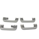 Haltegriffe Dachhimmel vorne hinten 8V0857607A-608 Audi A3 8V kristallsilber