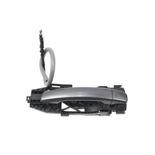 Türgriff aussen vorne-hinten rechts 8V0837206 Audi A3 8V LX7R monsungraumet.