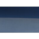 Tür vorne rechts Beifahrertür Türe VW Scirocco III LR5Z risingblue 1K8831056K