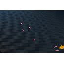 Motorhaube Audi A3 8P 8P0823029B Frontklappe vorne LZ5C mauritiusblau Kratzer-Beulen