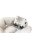 Traktionskontrolle ESP OFF Taster 5K0927117 Schalter VW Golf 5-6 Jetta EOS 1F Scirocco 3