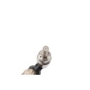 Einspritzdüse 06F906036 1 Stk AXW-BMB-BLR-Motor 2,0 FSI Audi A3 8P VW Seat Skoda