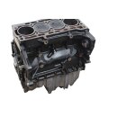 CAV Motorblock 1,4 TSI VW Touran 1T3 Scirocco Golf 6 Eos Passat 3C 103 kW-140PS