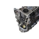 CAV Motorblock 1,4 TSI VW Touran 1T3 Scirocco Golf 6 Eos Passat 3C 103 kW-140PS