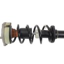 Stoßdämpfer+Feder vorne 8W0411105CJ-8W0413031T Original Audi A4 B9 Avant 1,4 TFSI