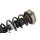 Stoßdämpfer+Feder vorne 8W0411105CJ-8W0413031T Original Audi A4 B9 Avant 1,4 TFSI