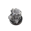 Servopumpe 8N0145154A Audi TT 1.8T A3 S3 8L VW Golf 4 Beetle AMK BAM AUL APP ARY