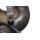 Katalysator Abgaskrümmer 03D131701D-03D178BA Kat VW Fox 5Z 1.2L 54PS