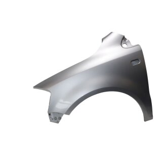 Kotflügel vorne links 5Z0821021H Fahrerseite VW Fox LA7W silber Bastler Rostig