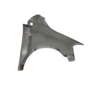 Kotflügel vorne links 5Z0821021H Fahrerseite VW Fox LA7W silber Bastler Rostig