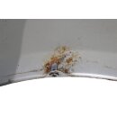 Kotflügel vorne links 5Z0821021H Fahrerseite VW Fox LA7W silber Bastler Rostig