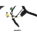 Türkabelbaum 5NB971120CQ Kabelbaum vorne links VW Tiguan II AD1 Fahrerseite