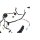 Türkabelbaum 5NB971120CQ Kabelbaum vorne links VW Tiguan II AD1 Fahrerseite