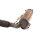 Dieselpartikelfilter 1K0131723J VW Touran 1T Caddy 2K 2.0 TDI 103KW Partikelfilter DPF
