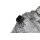 Klimakompressor 8KD260805L Audi A4 8K B8 A5 8T Q5 8R 2,0 TDI-2,0 TFSI 8K0260805 Denso
